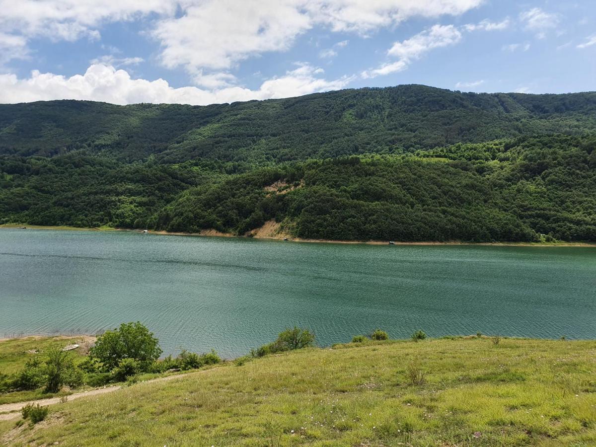 Zavojsko Jezero Pirot - Smestaj Manic Pensionat Gostusa Eksteriør billede