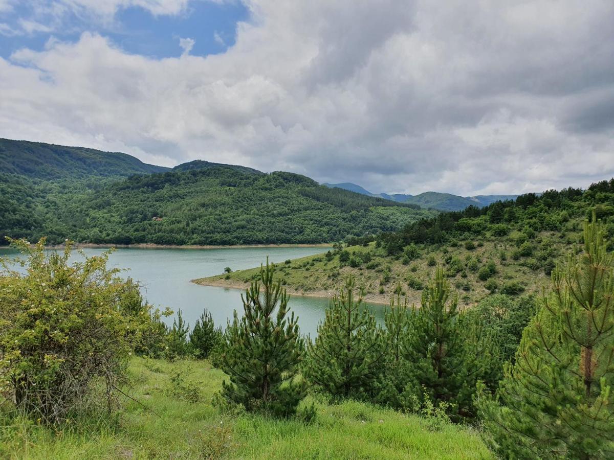 Zavojsko Jezero Pirot - Smestaj Manic Pensionat Gostusa Eksteriør billede